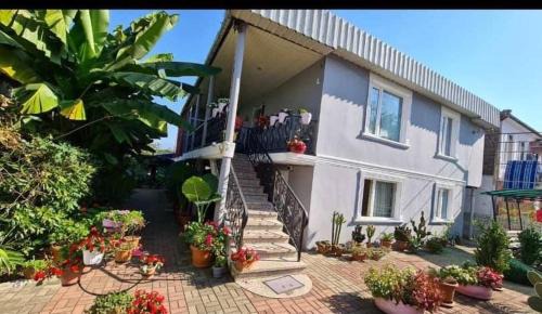 Kobuleti House | Ios Guest House