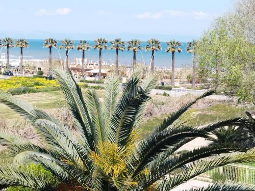 Barletta Bed & Breakfast | Iris B&B