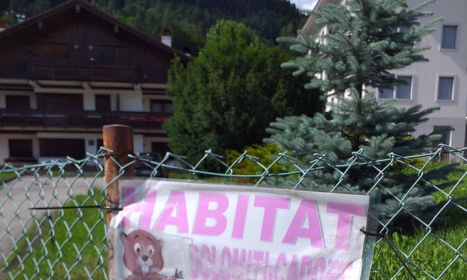 Pieve di Cadore Apartment | Is an excellent choice for those looking for a place to stay in the mountains