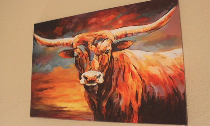 North Burnet Apartment | It was all a dream.