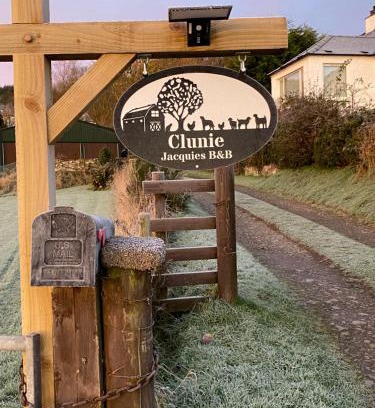 Dumfries Bed & Breakfast | Jacquie's B&B -Dumfries-Room with a view