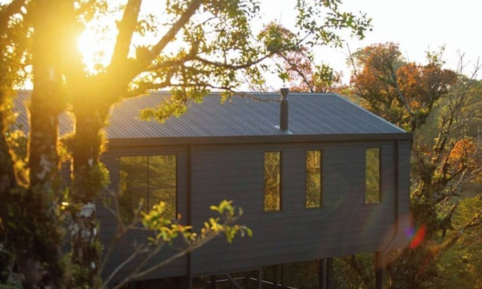 Monteverde House | Jaguar House