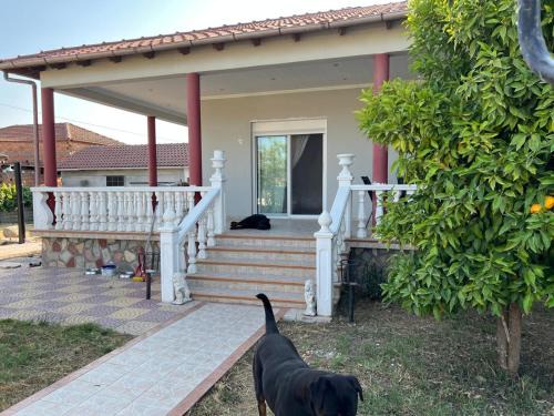 Nea Karia House | Janna's Home