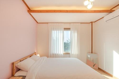 Aewol House | Jeju Broccoli BNB