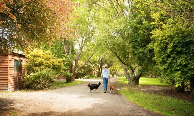 Johanna House | Johanna River Farm & Cottages