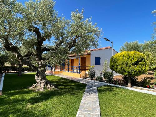 Aipeia Apartment | John & Jenny's Small Village