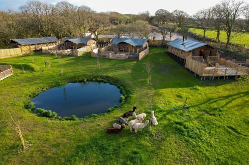 St. Florence Other | Jungle Book Safari Tent