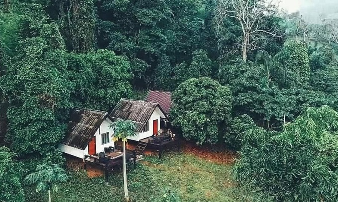 Pangmapha Hotel | Jungle guest house