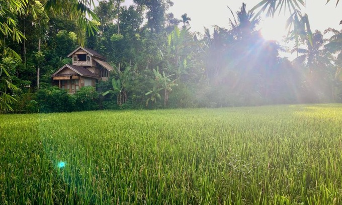 Tetebatu House | Jungle inn tetebatu