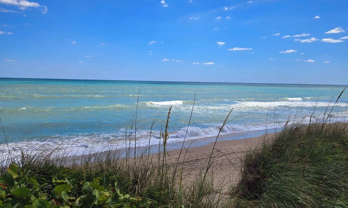 Stuart Condo | Just Beachy: A Breezy 1-Bedroom Escape