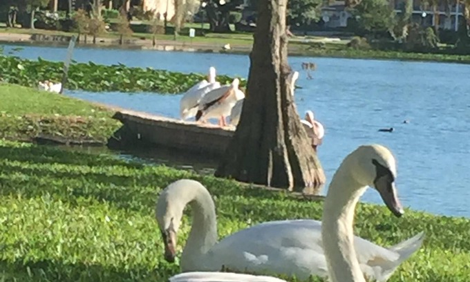 Lakeland Cottage | Just steps from Florida Southern College and Lake Morton