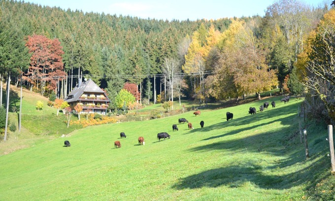 Oberwolfach Apartment | Königswald-Silberberg-Kupferberg, 70sqm, 2 bedrooms, max. 6 people