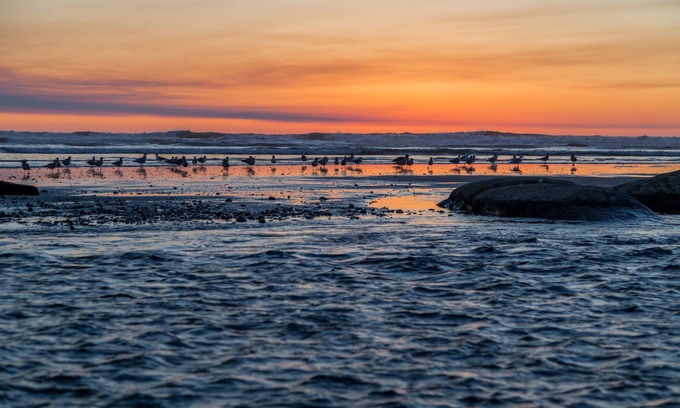Kalaloch Cabin | Kalaloch Lodge