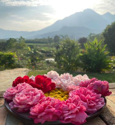 Ba Vi House | Kame Healing Garden