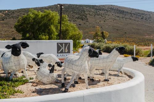 De Doorns Hotel | Karoo 1 Hotel Village