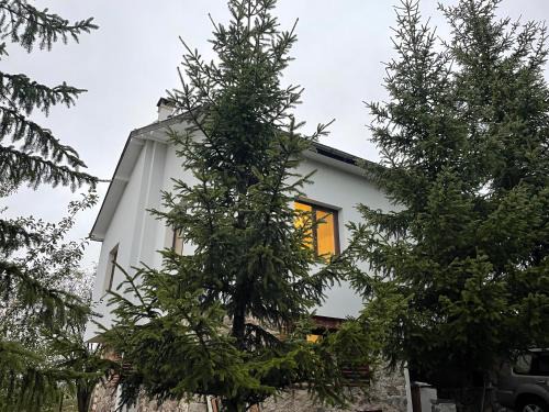 Ravnogor House | Kassandrov Guest House Ravnogor/Касандрова къща Равногор