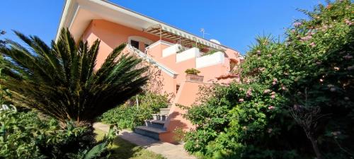 Anzio House | Katy's Garden