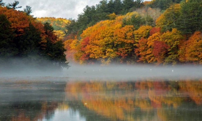 Westbrook House | Kayak, swim, fish, walk to restaurants, breweries, 19 min to Old Port