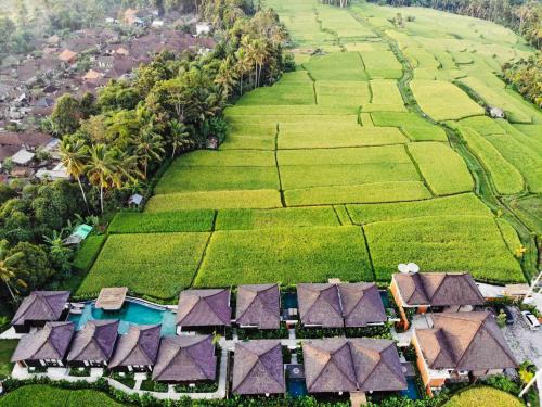 Kenderan Villa | Kayangan Villa Ubud