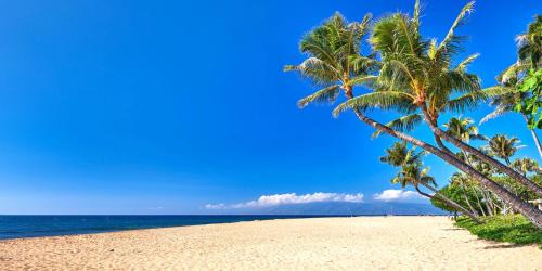 Honokowai Apartment | KBM Resorts FREE CAR Honua Kai Konea Ocean view 2-Bedroom Condo Recently Remodeled HKK-706
