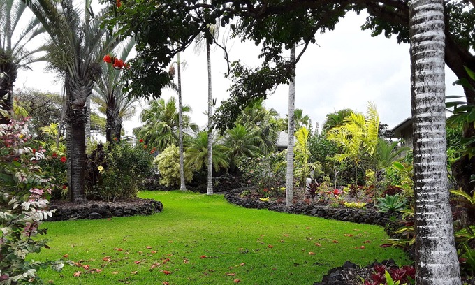 Puna Palisades House | Kehena Beach area home with beautiful yard