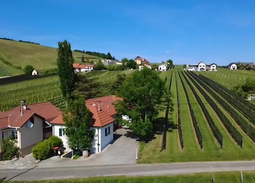 Eisenberg an der Pinka Apartment | Kellerstöckl - Zur Weinreibe 1