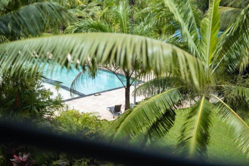 Kewarra Beach Apartment | Kewarra Beach Studio Apt with Resort Pool and BBQ
