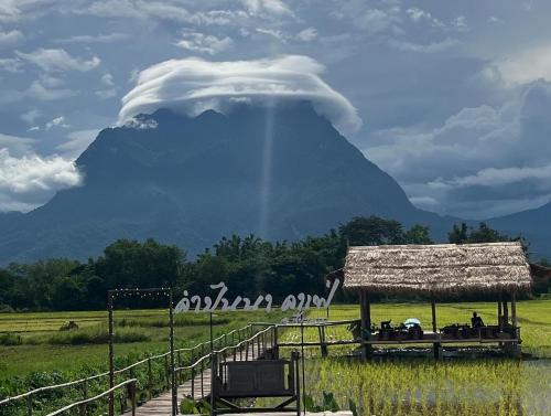 Chiang Dao Hotel | Khampanna Cafe' resort & Nature