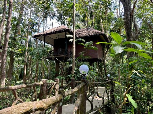 Khlong Sok Resort | Khao Sok Paradise Resort