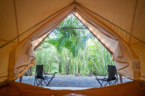 Thai Mueang Other | khaolakcamping