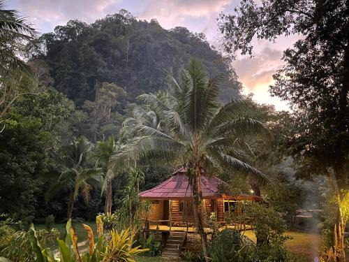 Khlong Sok Resort | Khaosok Monkeys & River Camps