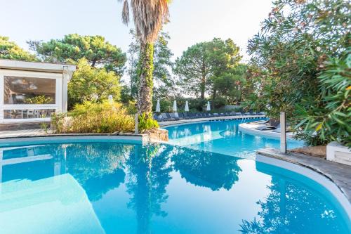 Pinarellu Hotel | Kilina