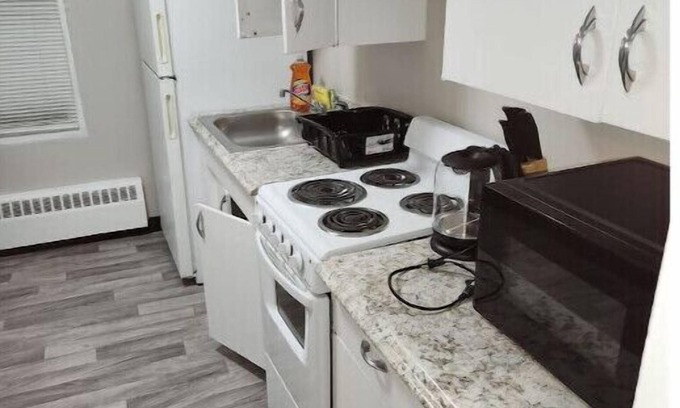 Downtown Rochester Apartment | King&Q beds by college/hospital