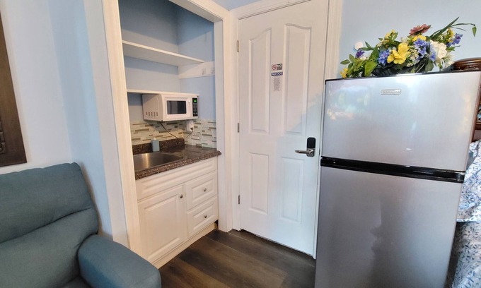 Hampton Apartment | King Sapphire Studio Suite, Kitchenette, 65" TV Private Bathroom Pets Welcome