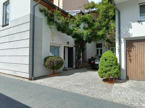 Muszyna Apartment | KIWI Apartament