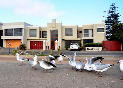 Walvis Bay Bed & Breakfast | Kleines Nest Bed and Breakfast