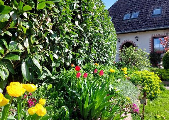 Althof Apartment | Klosterblick