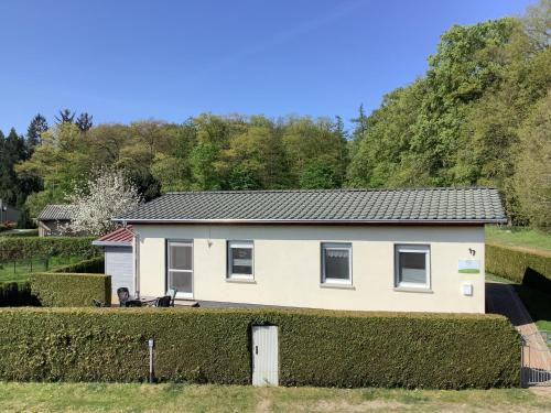 Dargun House | Klosterwald