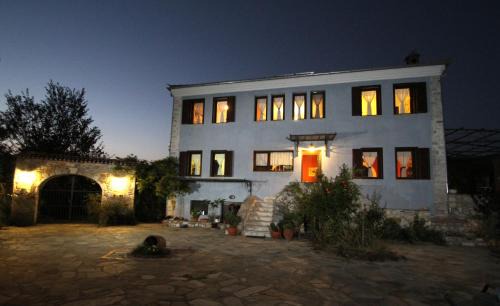 Toxotes House | Kokkymelon