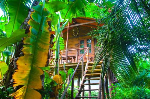 Kimbissa Hotel | Kolon Resort Sigiriya