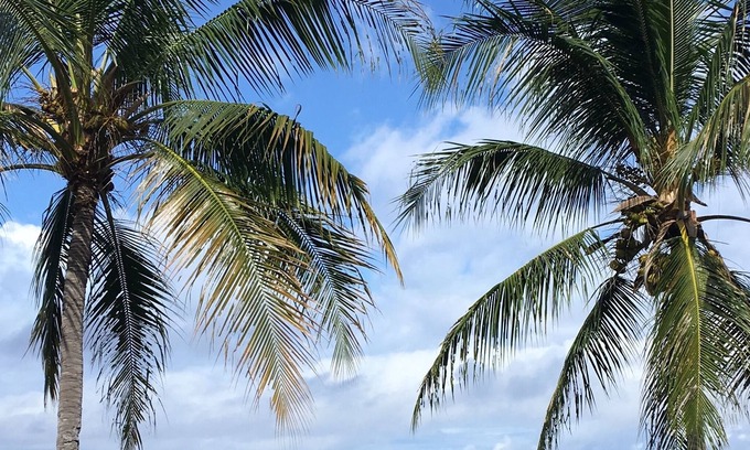 Honaunau-Napoopoo Bed & Breakfast | Kona Bayview Inn