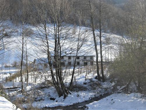 Kopaonik House | Kopaonik Family House "Brzeće"