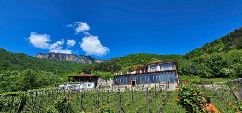 Tsageri Hotel | Korenishuli Veranda Wine Hotel 45 km from Tsageri