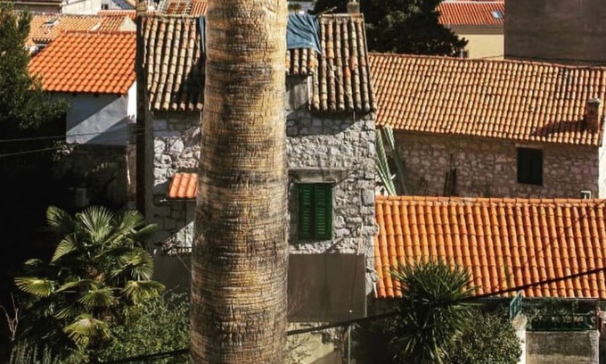 Citluk Villa | Kovacic Apartmants