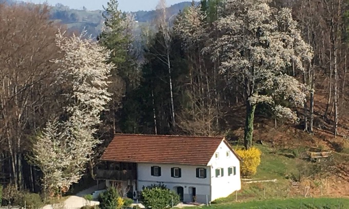 Leutschach Apartment | Kröllwinzerei "Winemaker's Apartment"