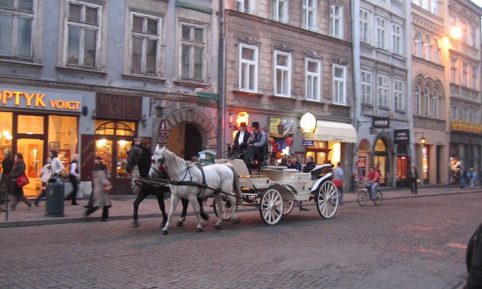 City Centre Apartment | Krakow: SUPERB APARTMENT RENT IN THE CENTER OF KRAKOW HISTORIC AND CULTURAL CAPITAL OF POLAND NICE RENT KRAKOW