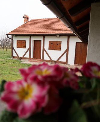 Hlebine House | Kuća za odmor Drava
