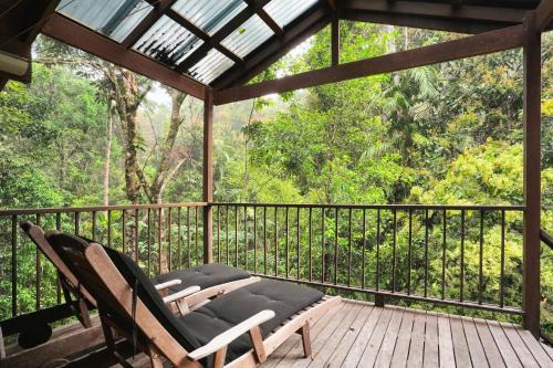 Kuranda House | Kuranda Rainforest Chalet