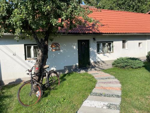 Vlahita Apartment | Léda Guesthouse 1 Szentegyháza