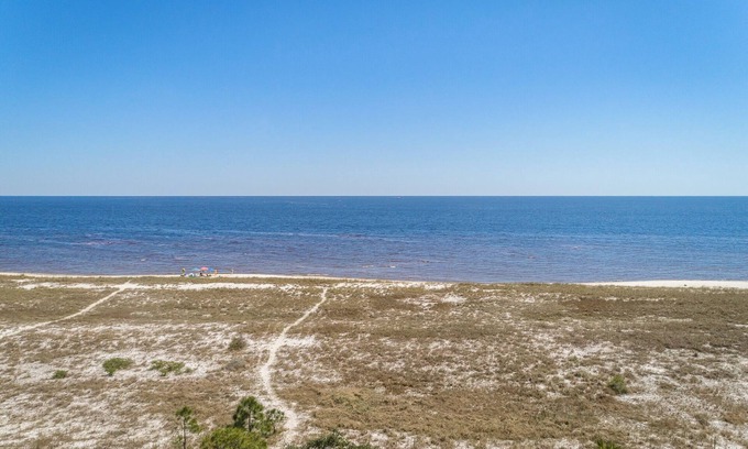 Alligator Point House | "L'Abri Sunrise" Secluded Bald Point Beachfront Haven with Screened Porch & Pet-Friendly Charm!